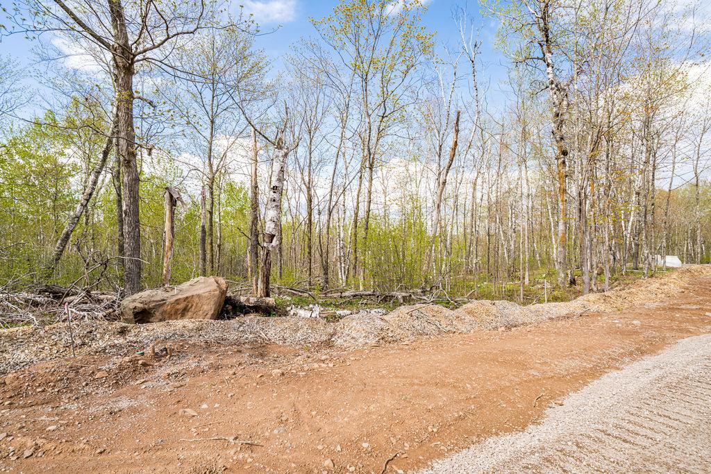 Tbd Katherine Lane Property Photo 14