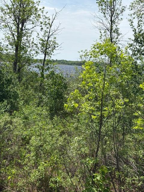 Tbd 226th Property Photo 9