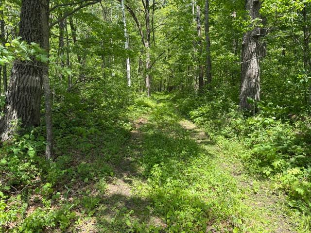 Tbd 226th Property Photo 13