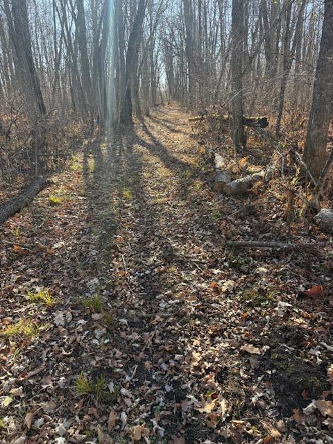 Tbd 226th Property Photo 27