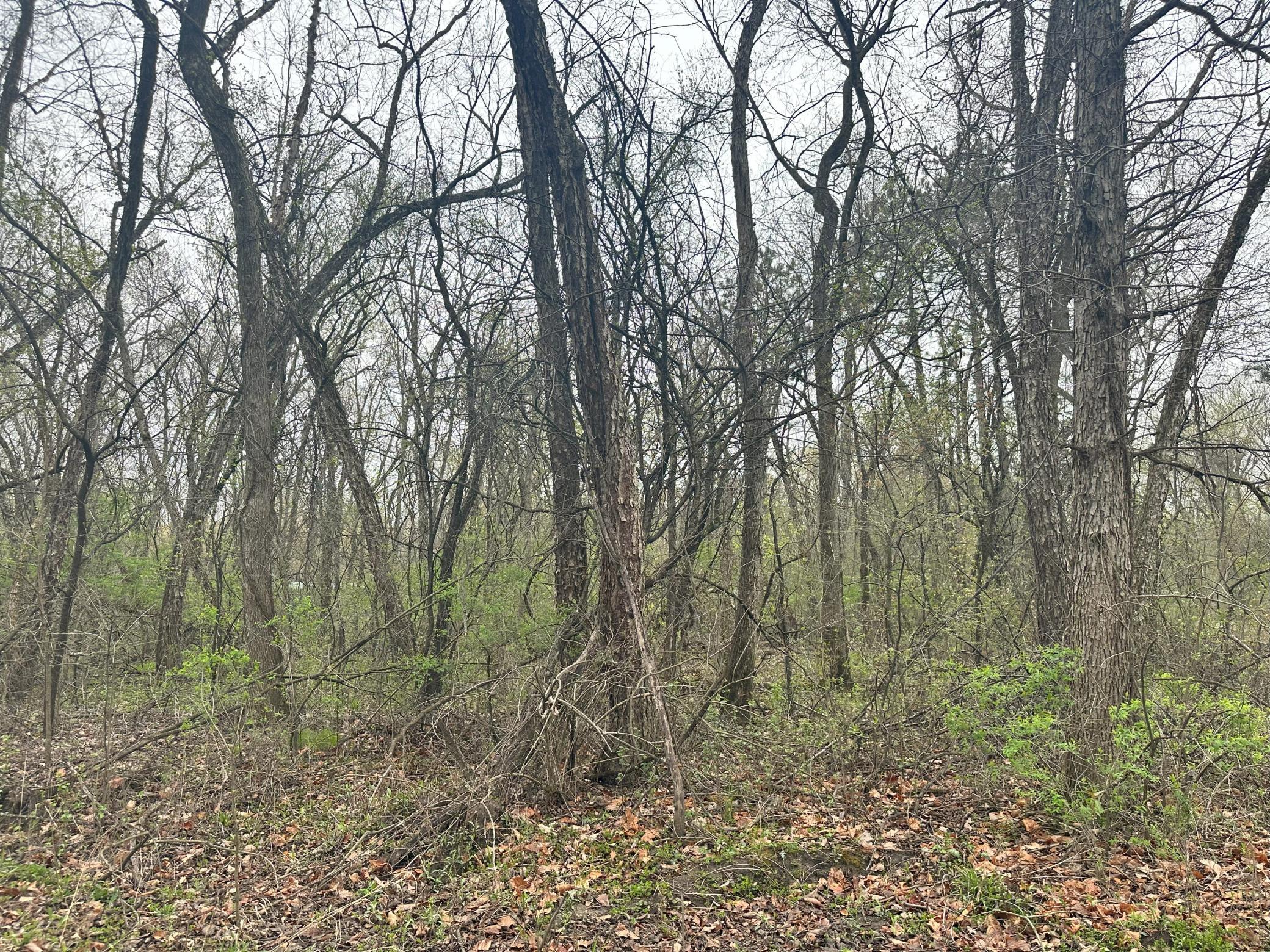 Lot 0 Catfish Drive Property Photo 1