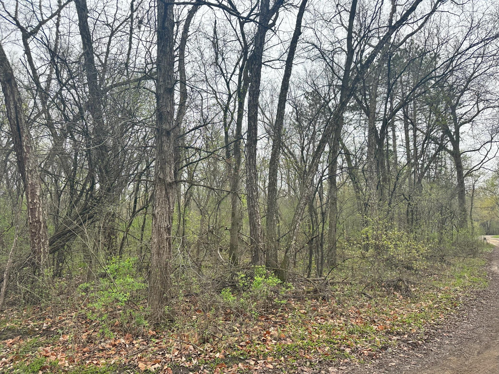 Lot 0 Catfish Drive Property Photo 2