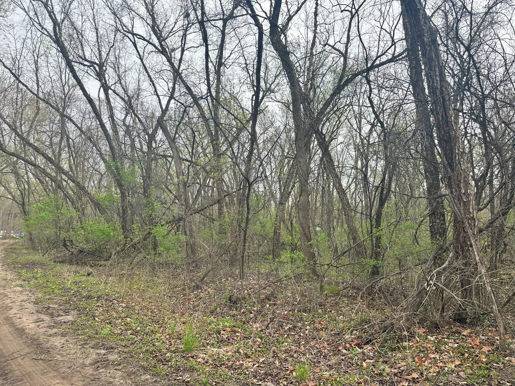 Lot 0 Catfish Drive Property Photo 3