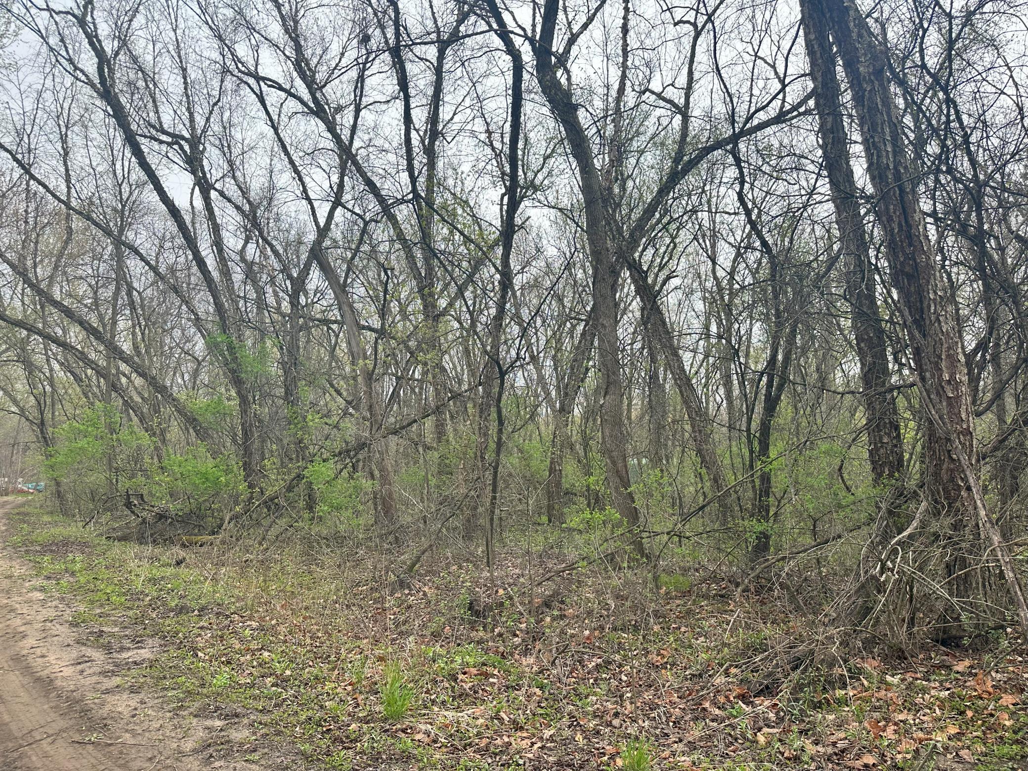 Lot 0 Catfish Drive Property Photo 4