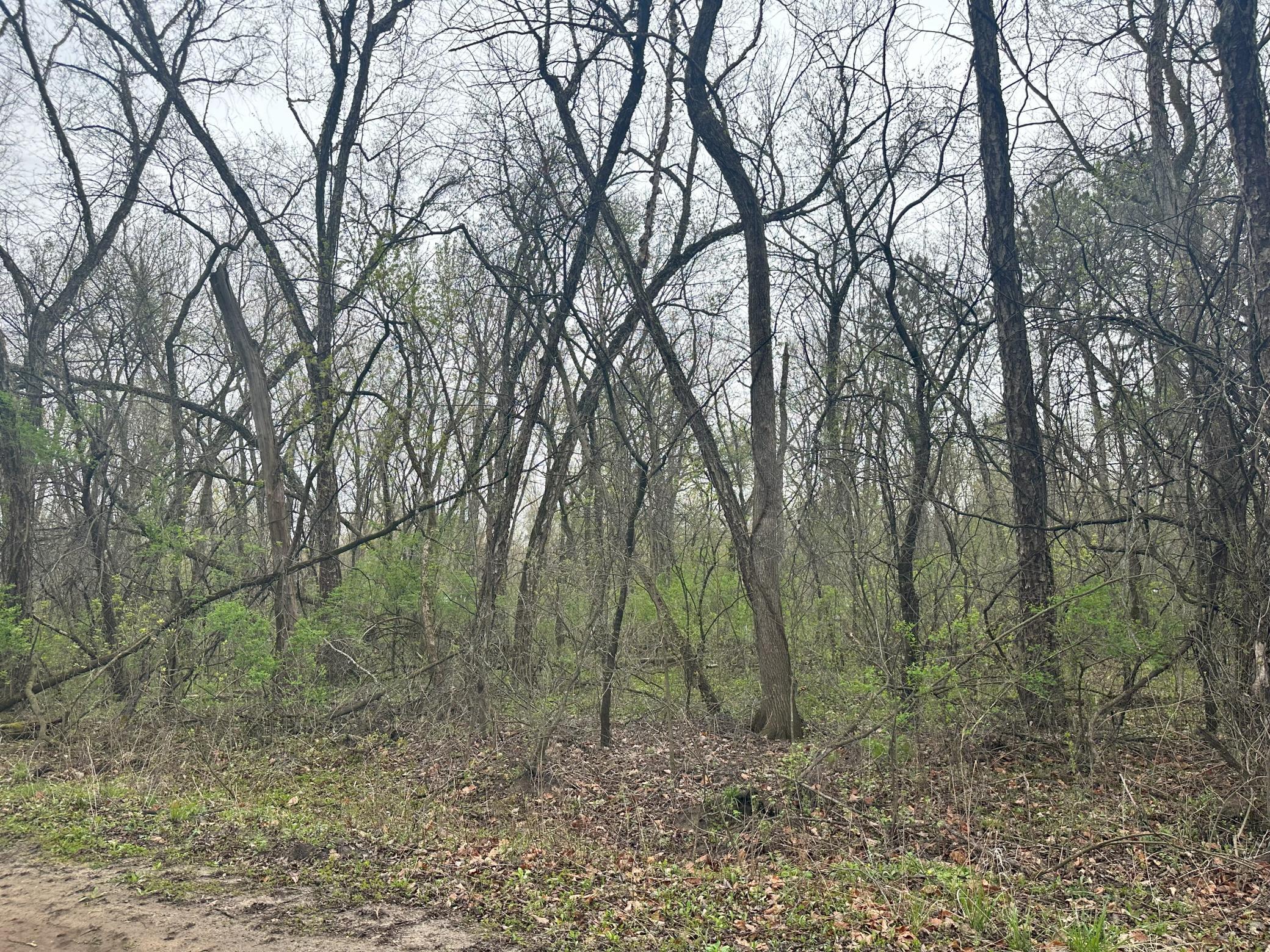 Lot 0 Catfish Drive Property Photo 5