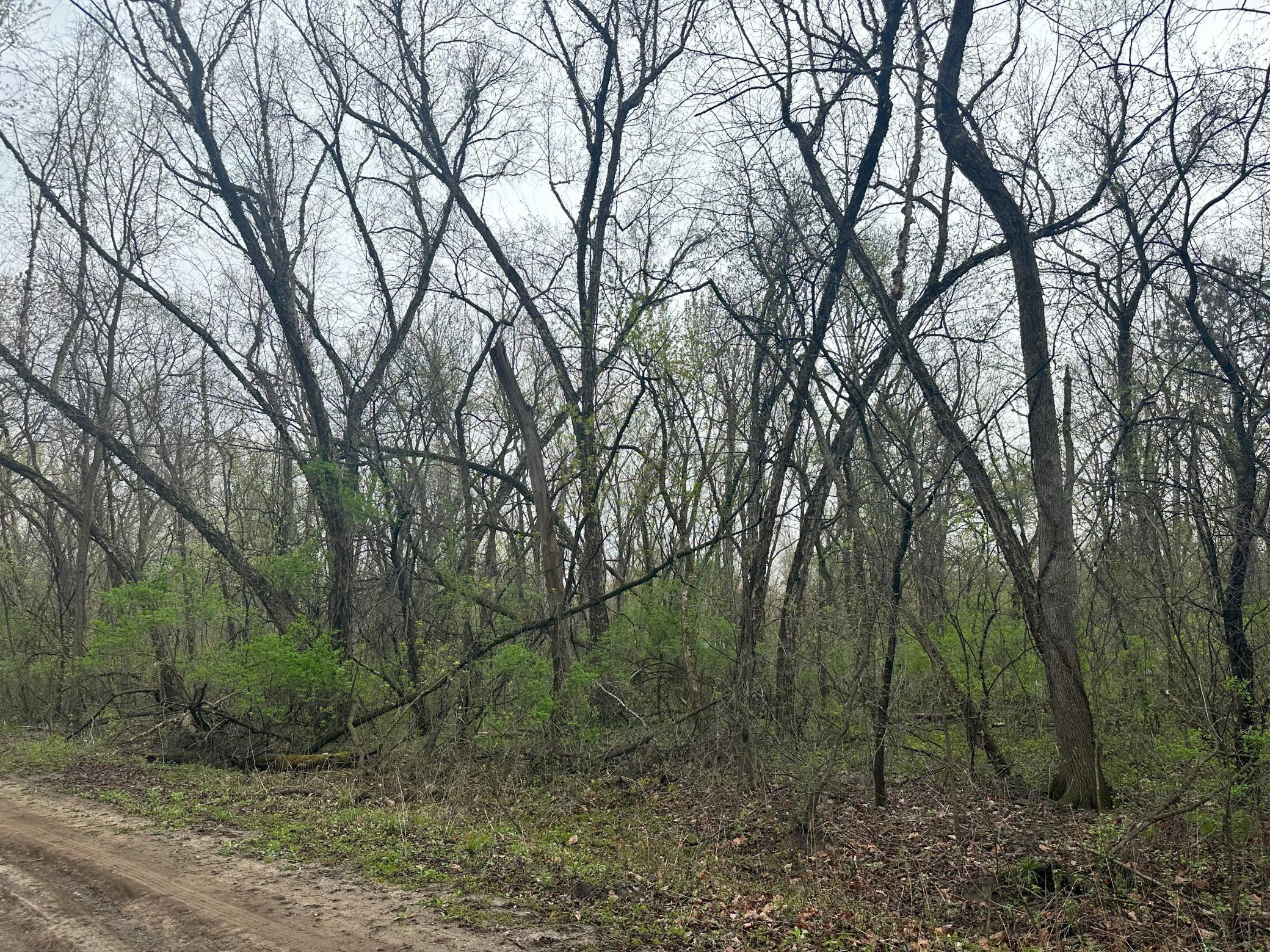 Lot 0 Catfish Drive Property Photo 6