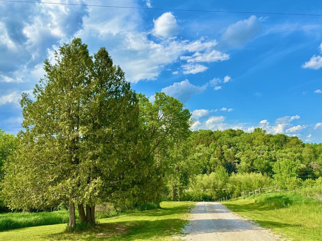 22966 Grosbeak Road Property Photo 20