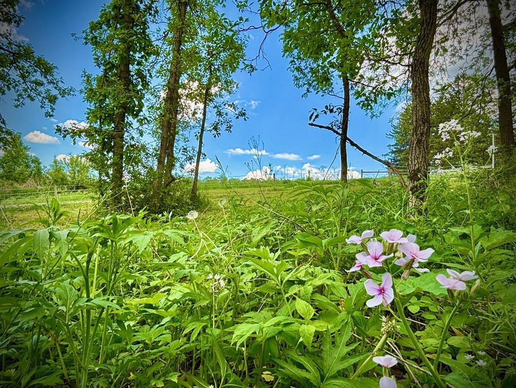 22966 Grosbeak Road Property Photo 31