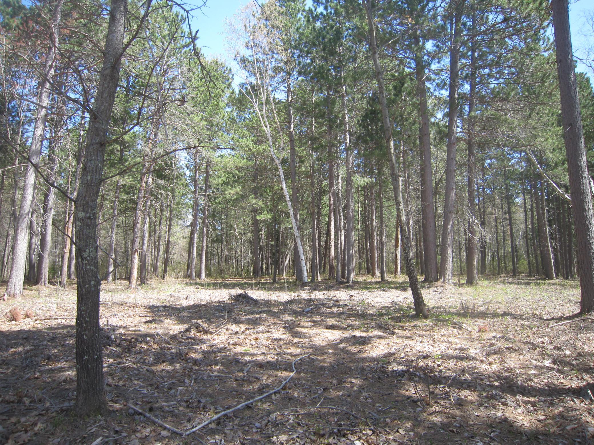 Lot 3 Pike Bay Loop Nw Property Photo 6