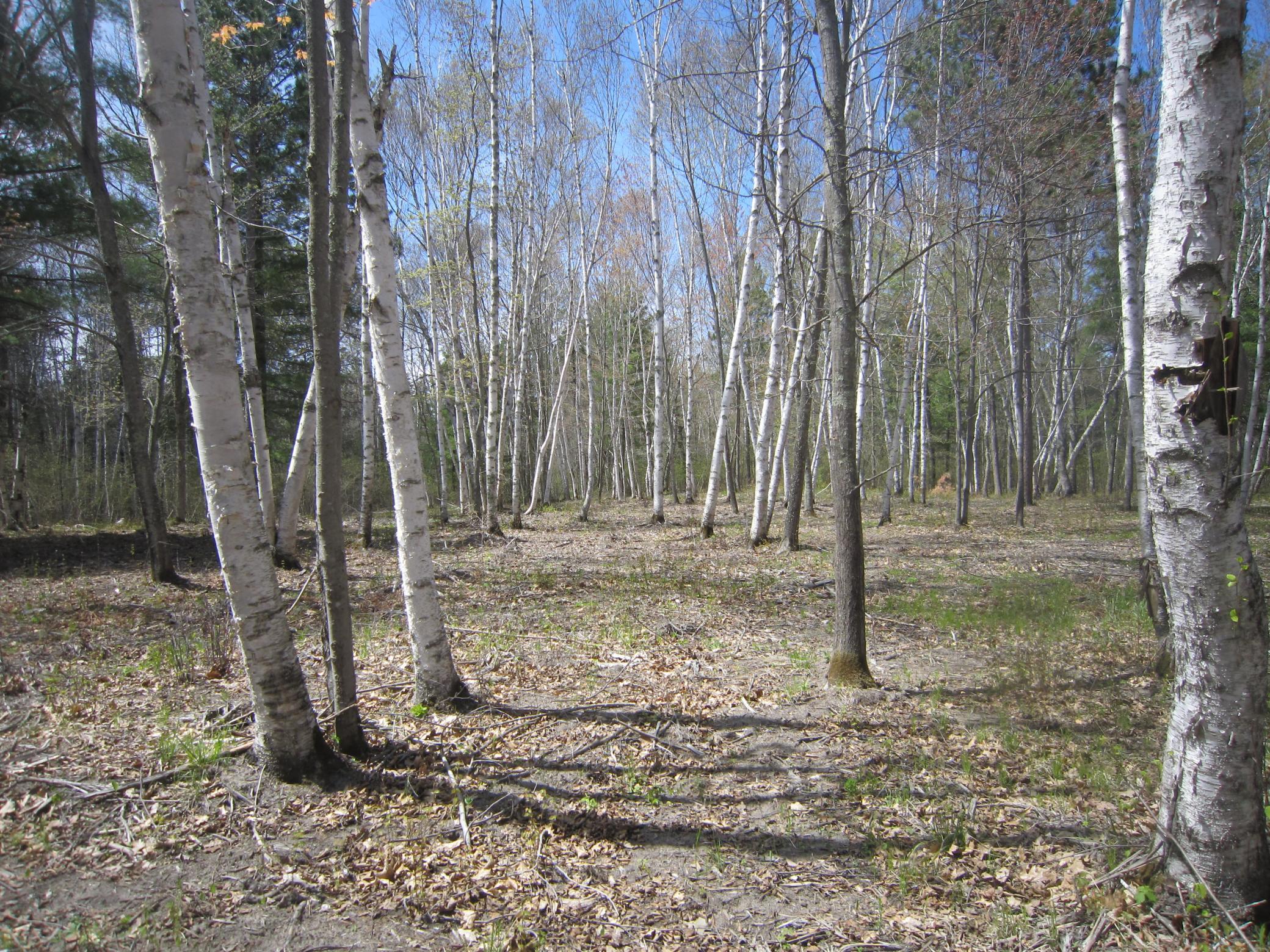 Lot 3 Pike Bay Loop Nw Property Photo 7