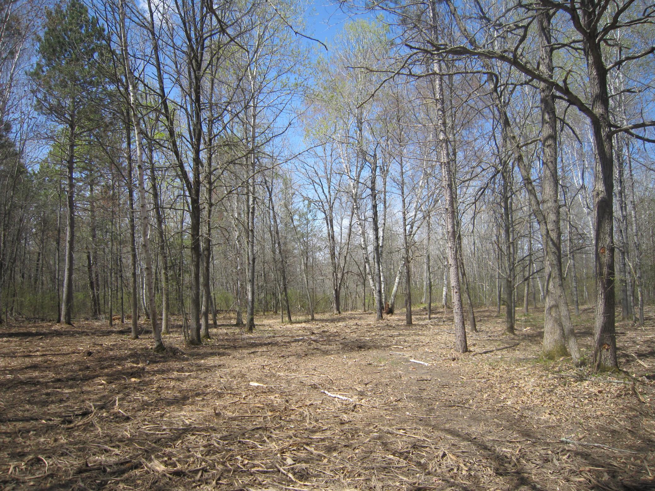 Lot 3 Pike Bay Loop Nw Property Photo 9
