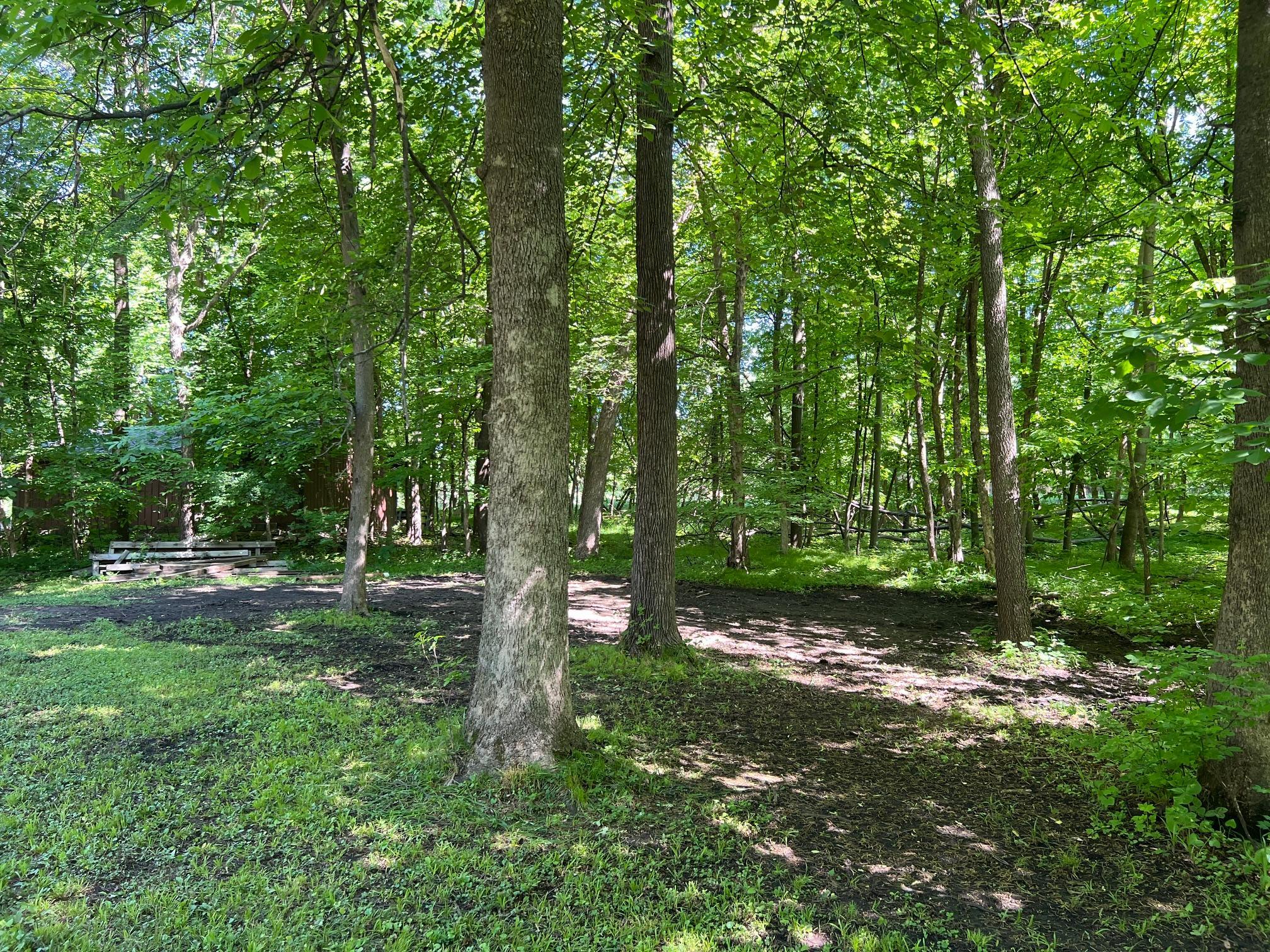 57625 226th Street Property Photo 27