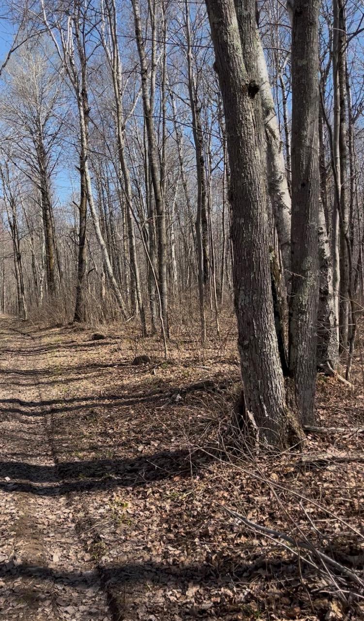 1 Tbd Property Photo 1