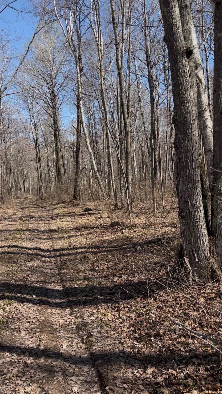1 Tbd Property Photo 3