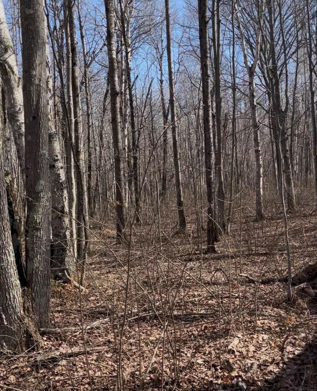 1 Tbd Property Photo 5
