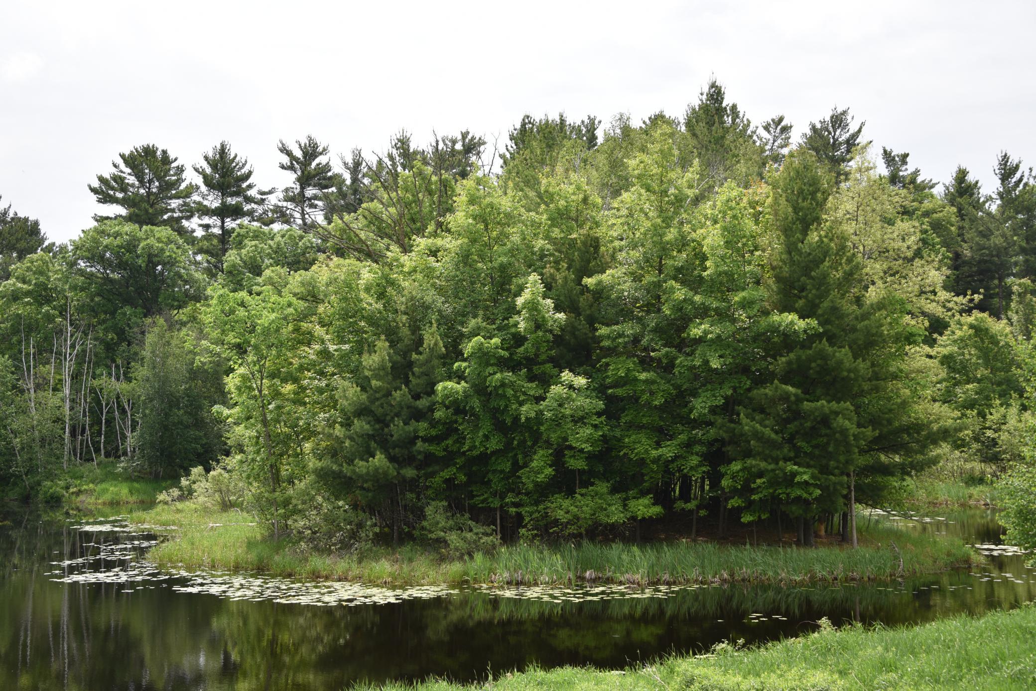 20692 Keystone Road Property Photo 56