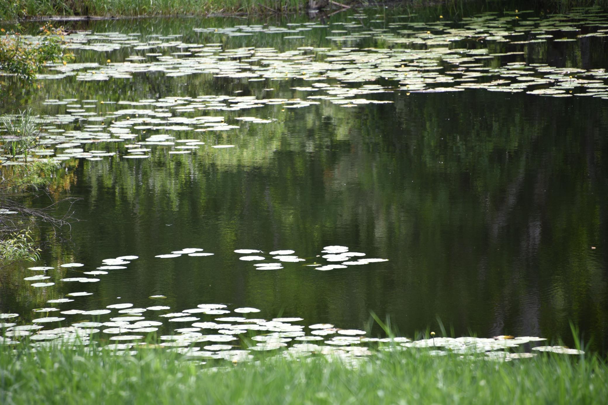 20692 Keystone Road Property Photo 58