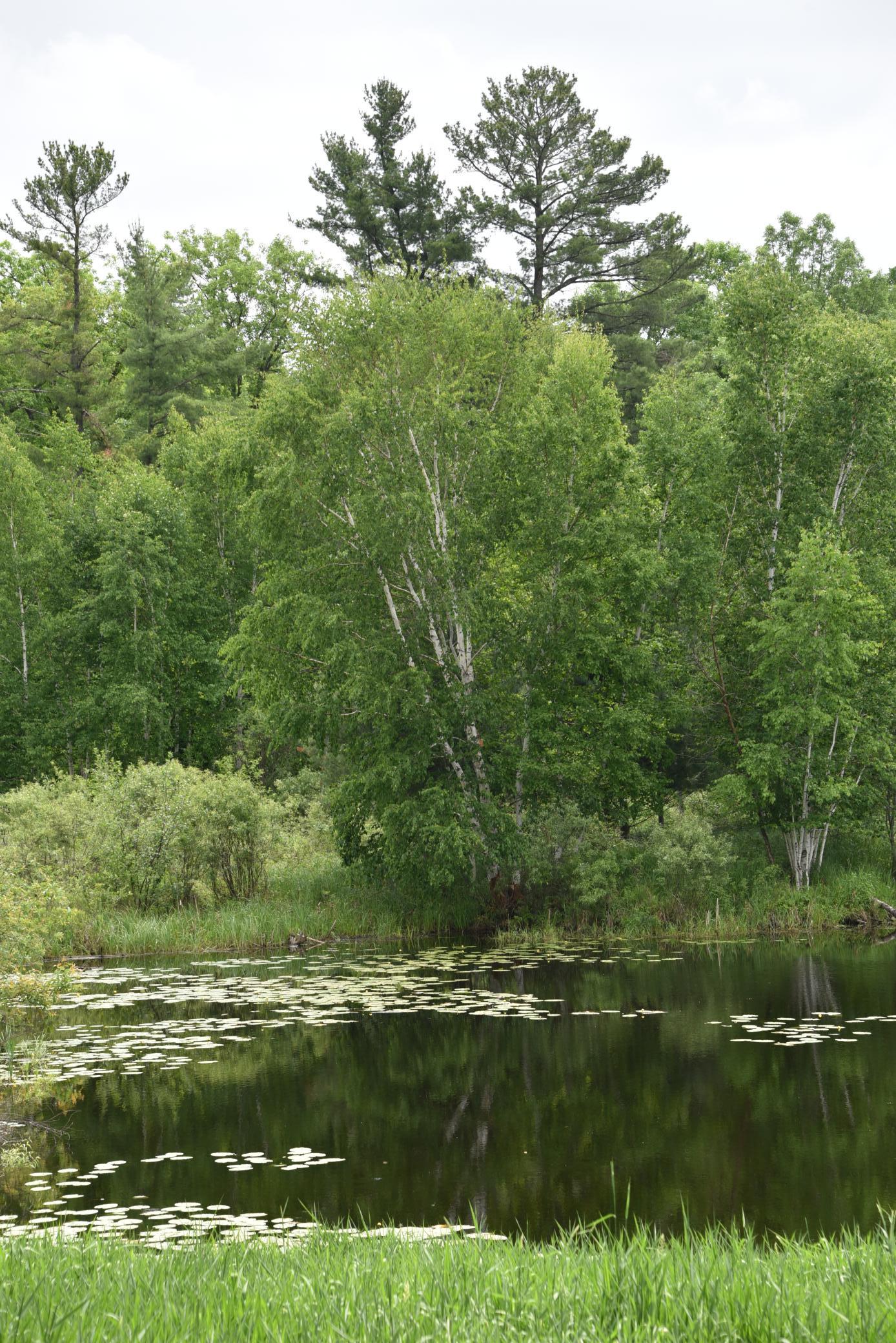 20692 Keystone Road Property Photo 60