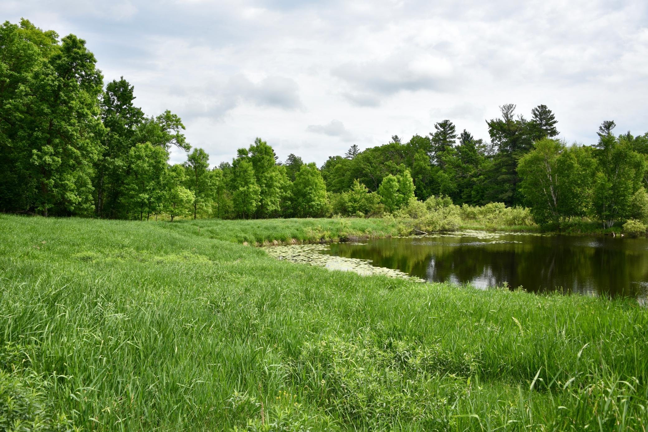 20692 Keystone Road Property Photo 73
