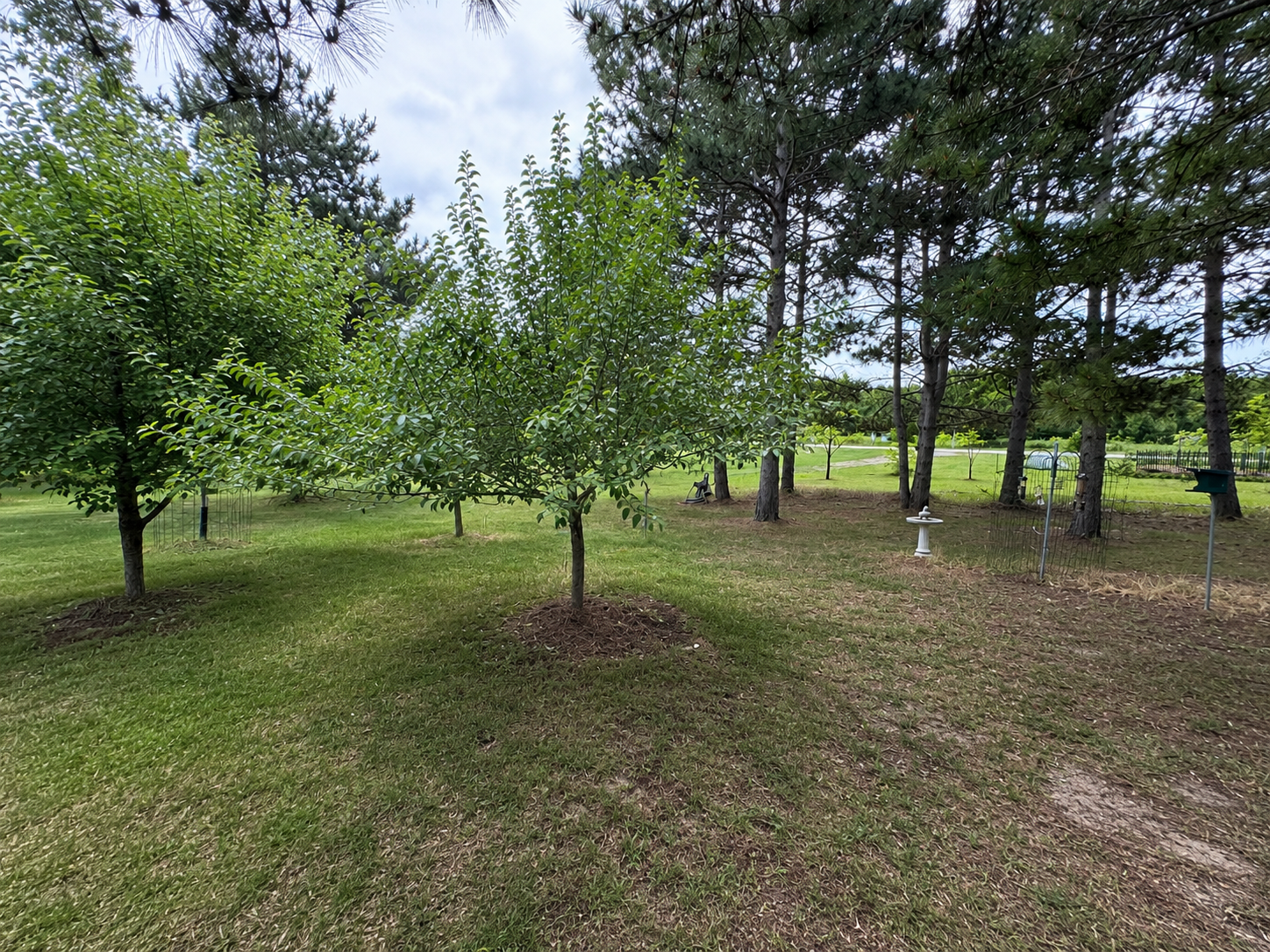 116 West Avenue Property Photo 32