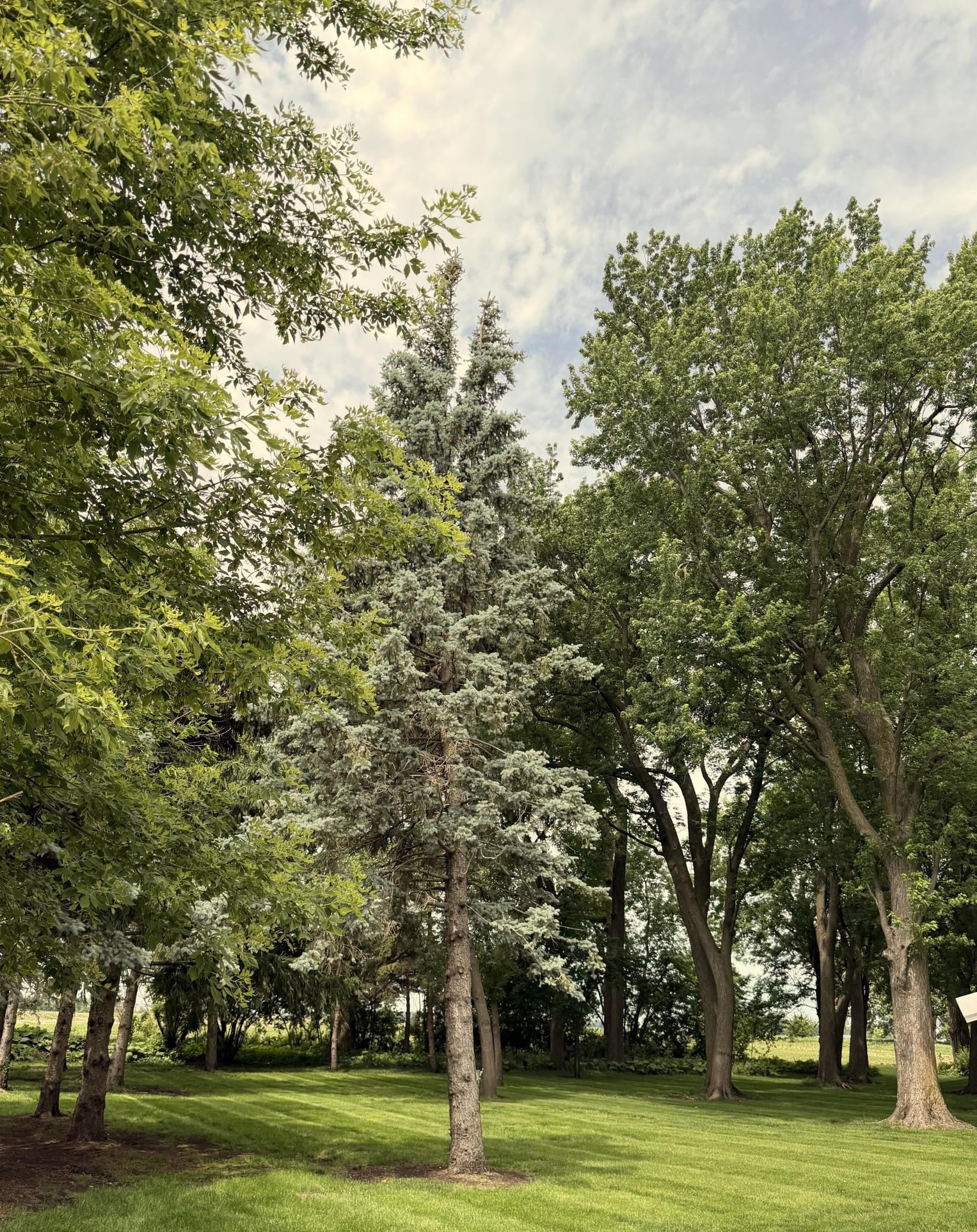 41347 Us Hwy 71 N Property Photo 54