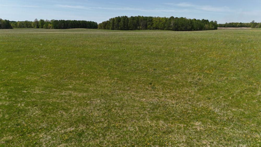 45964 County Highway 36 Property Photo 22