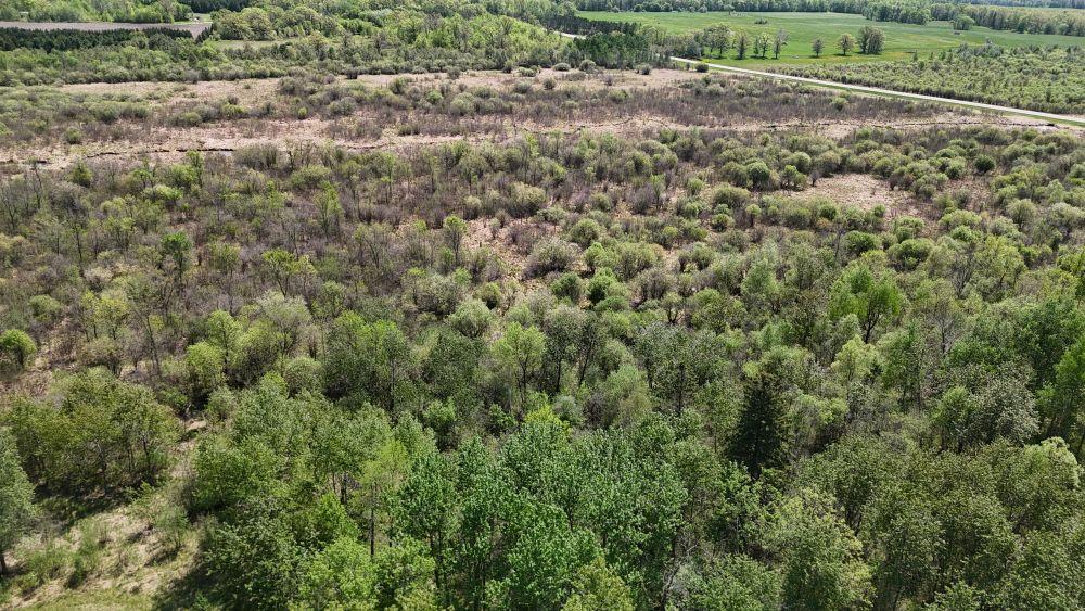 45964 County Highway 36 Property Photo 41