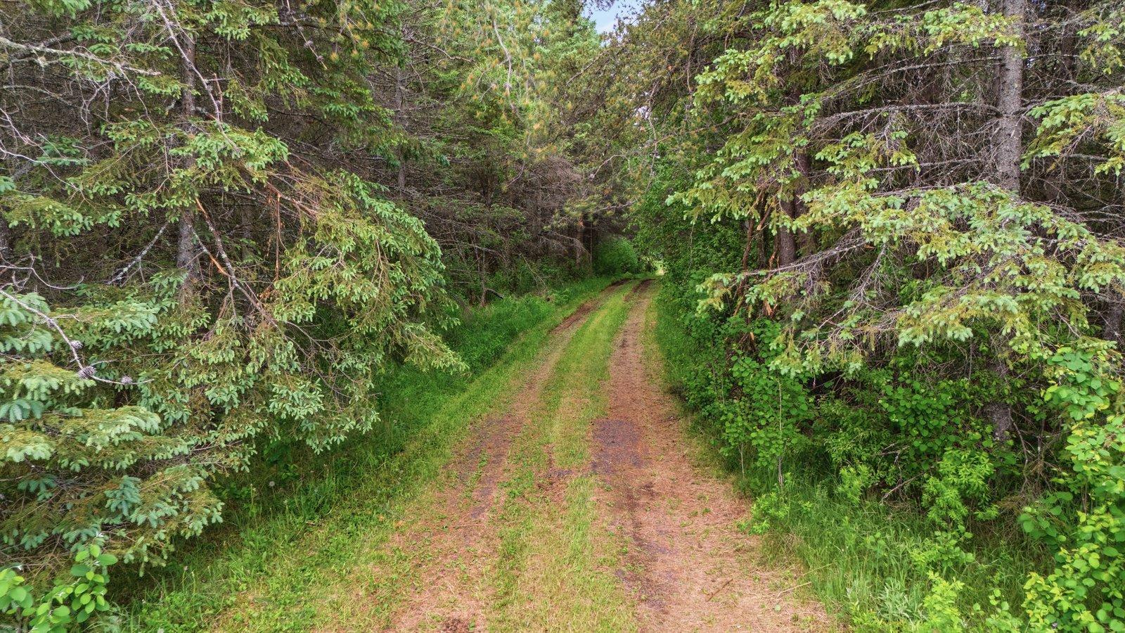 4913 Highway 25 Property Photo 23