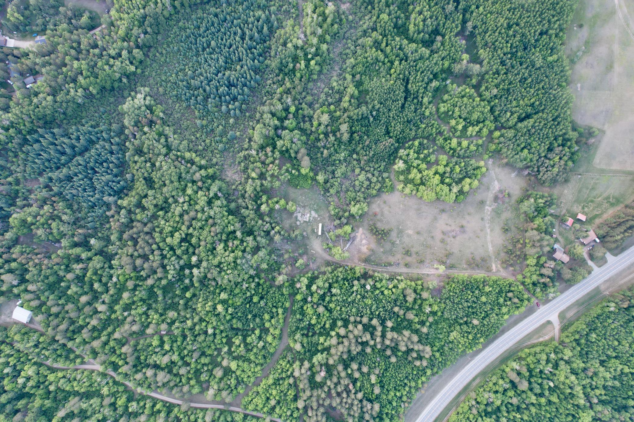 Tbd - 24.4 Ac County 4 Property Photo 4