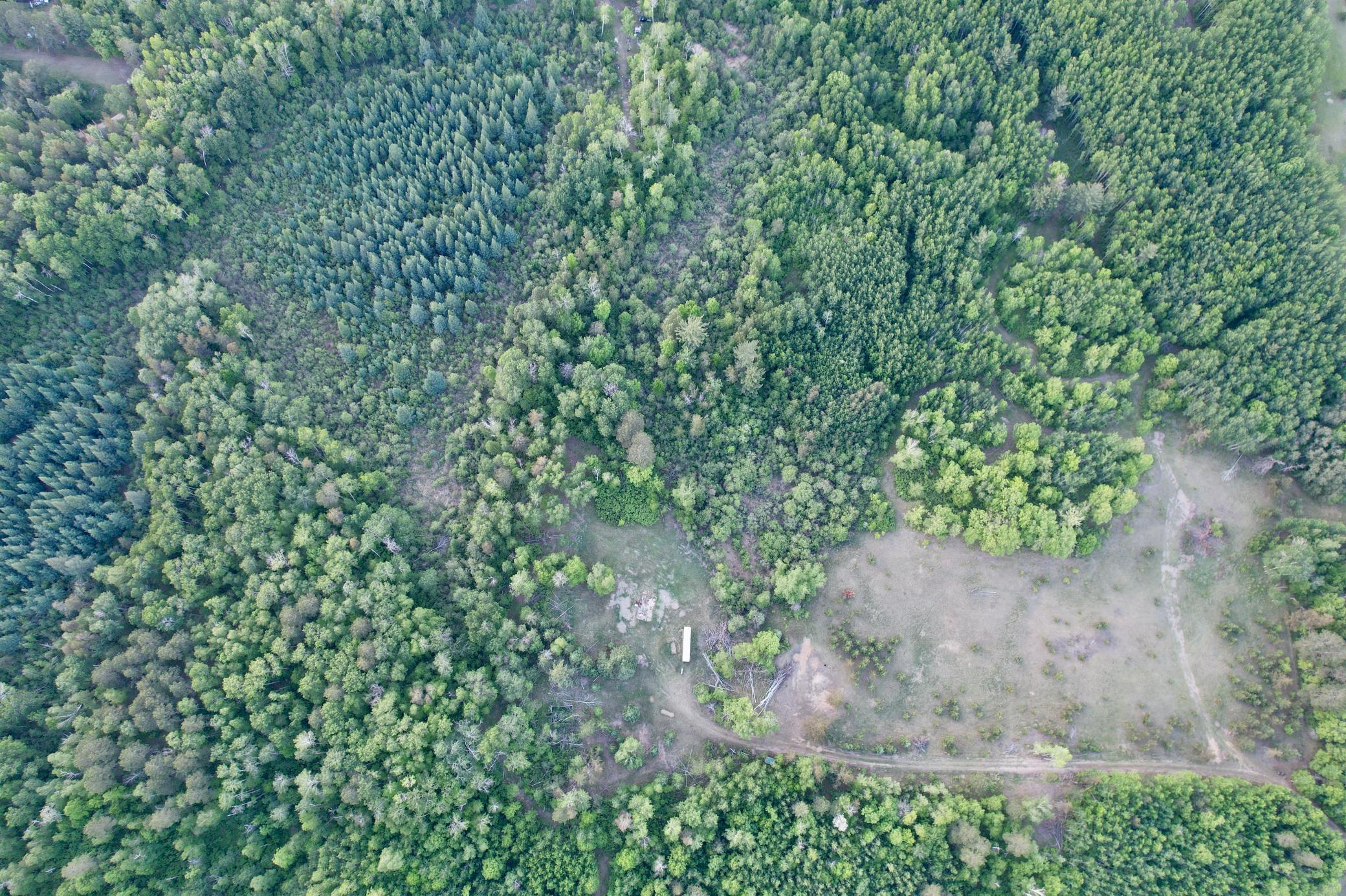 Tbd - 24.4 Ac County 4 Property Photo 6