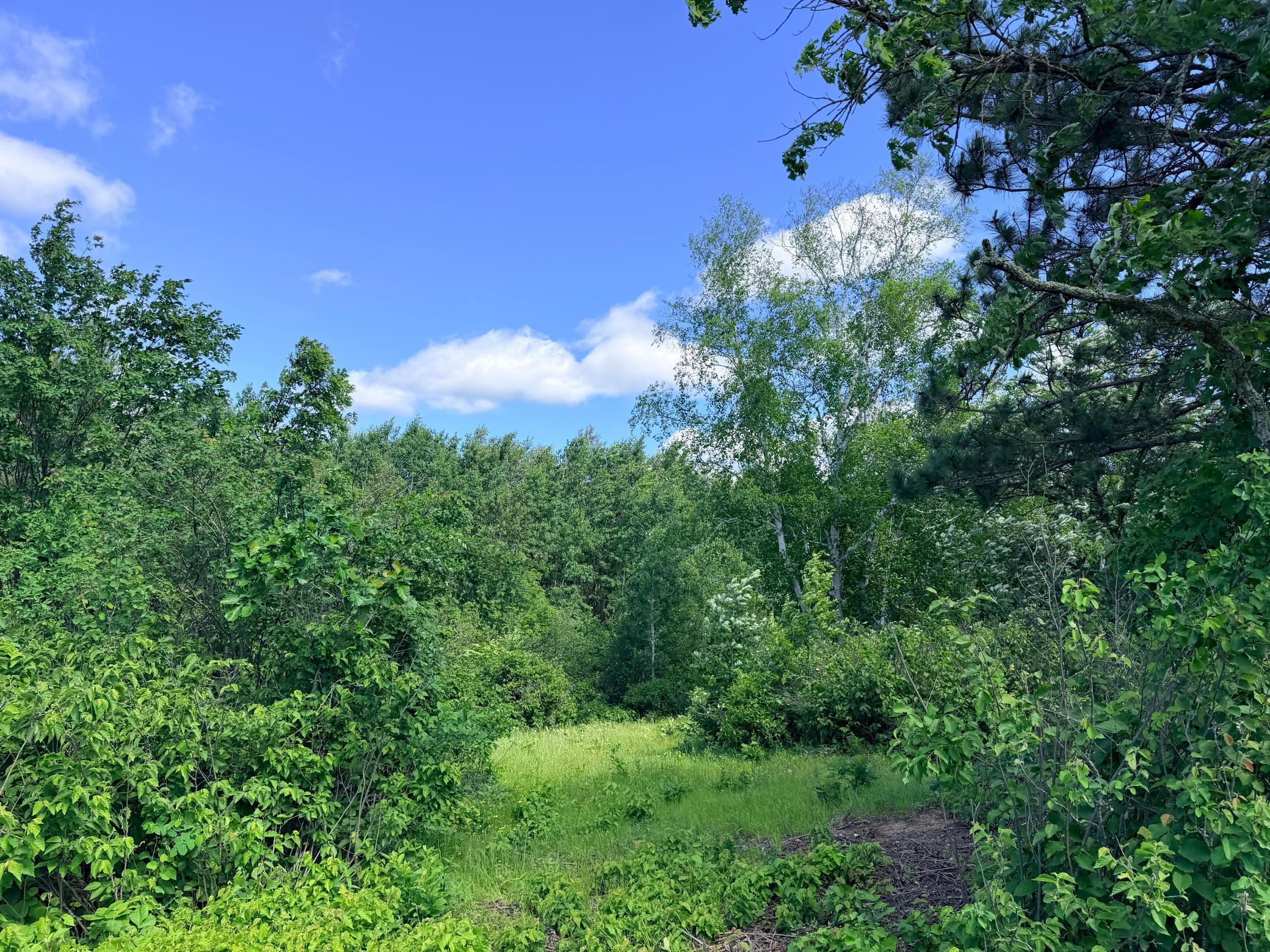 Tbd - 24.4 Ac County 4 Property Photo 8