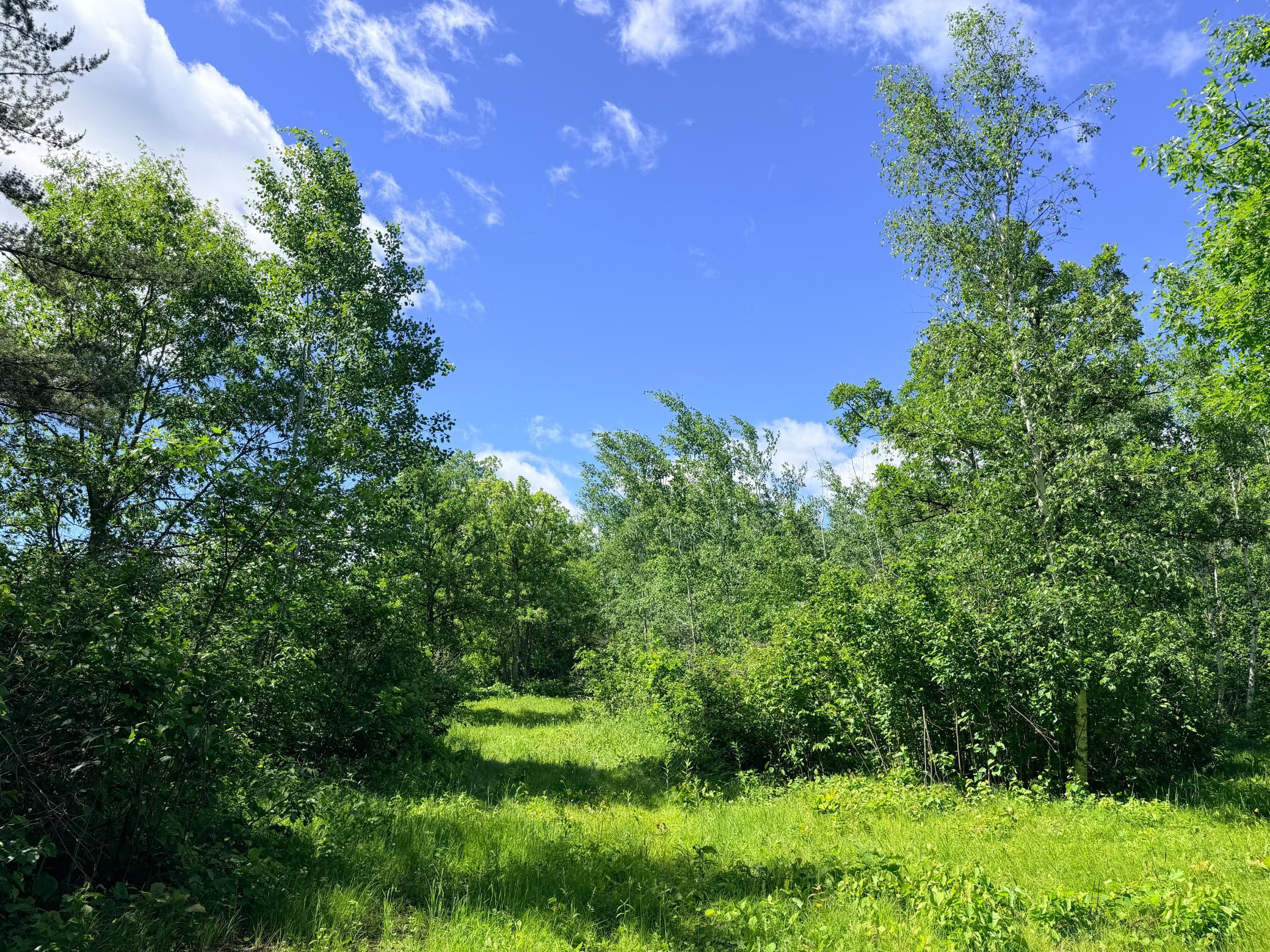 Tbd - 24.4 Ac County 4 Property Photo 10