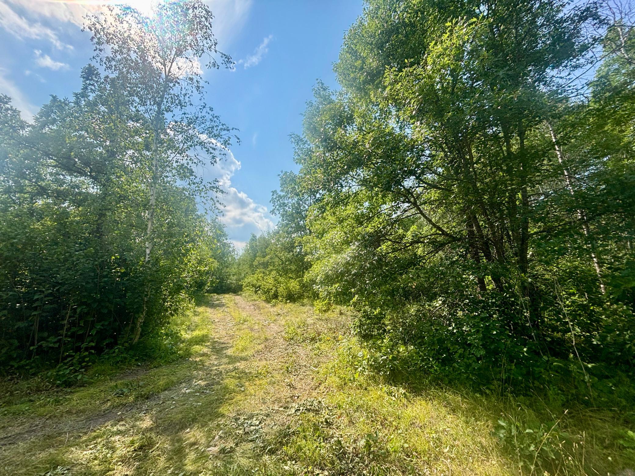 Tbd - 24.4 Ac County 4 Property Photo 11