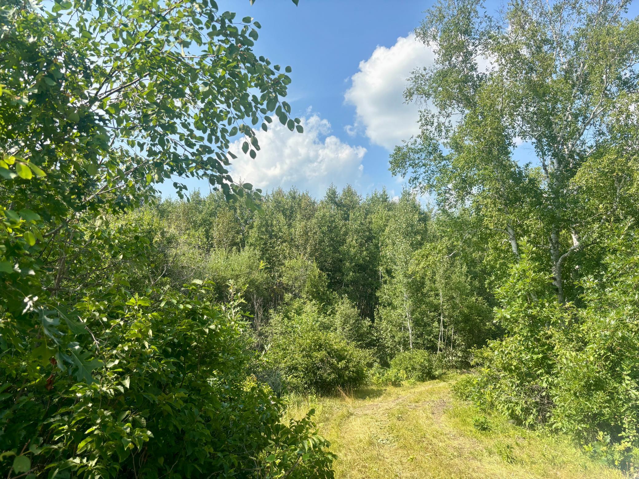 Tbd - 24.4 Ac County 4 Property Photo 12