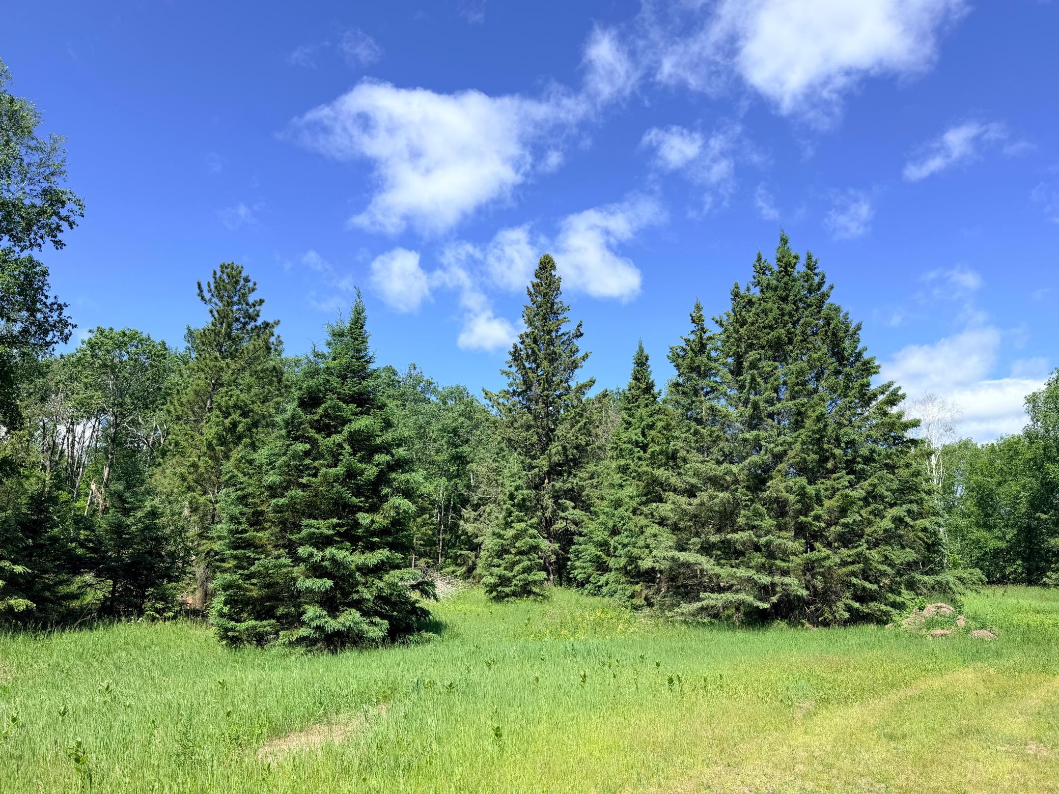 Tbd - 24.4 Ac County 4 Property Photo 18