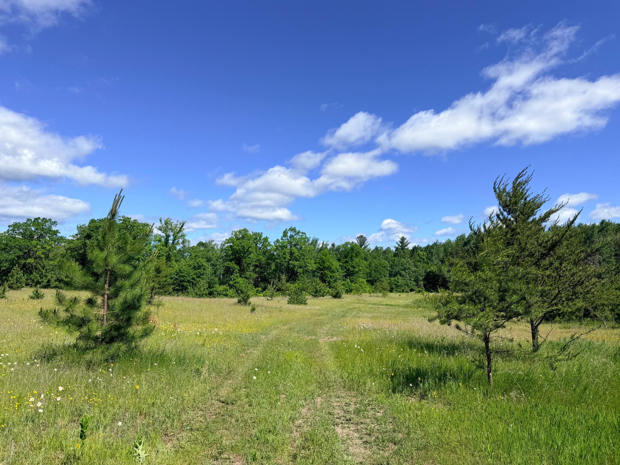 Tbd - 24.4 Ac County 4 Property Photo 19
