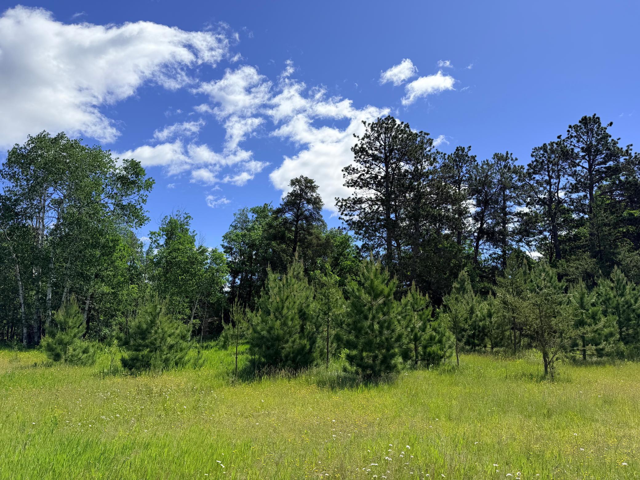 Tbd - 24.4 Ac County 4 Property Photo 20
