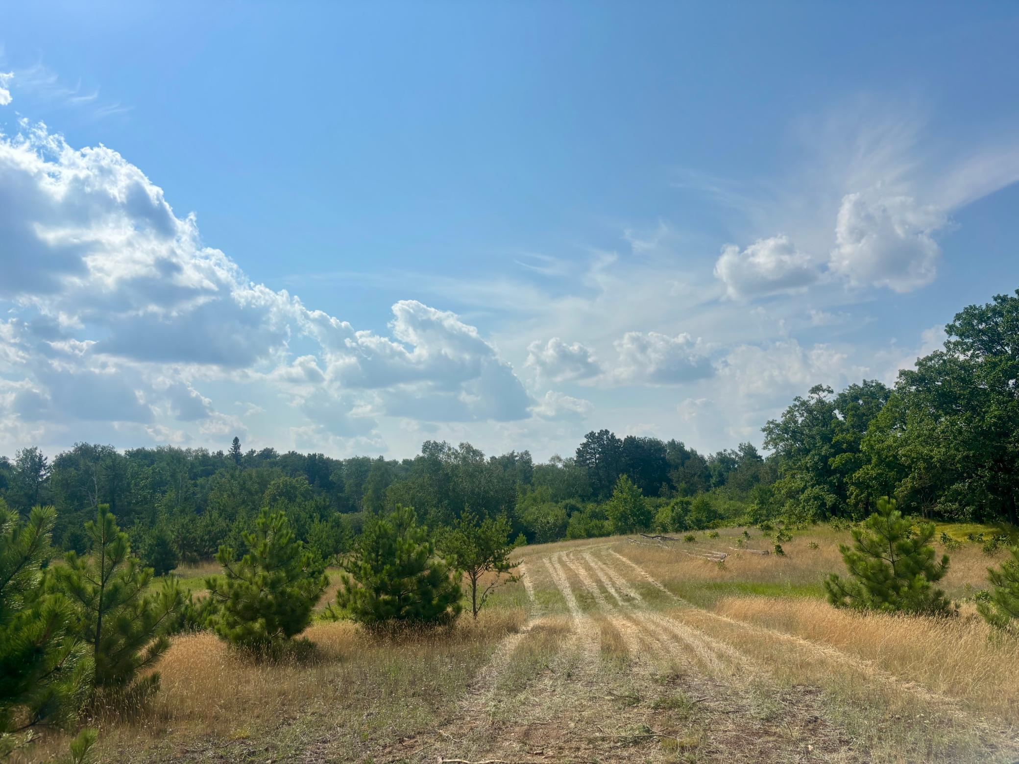 Tbd - 24.4 Ac County 4 Property Photo 21