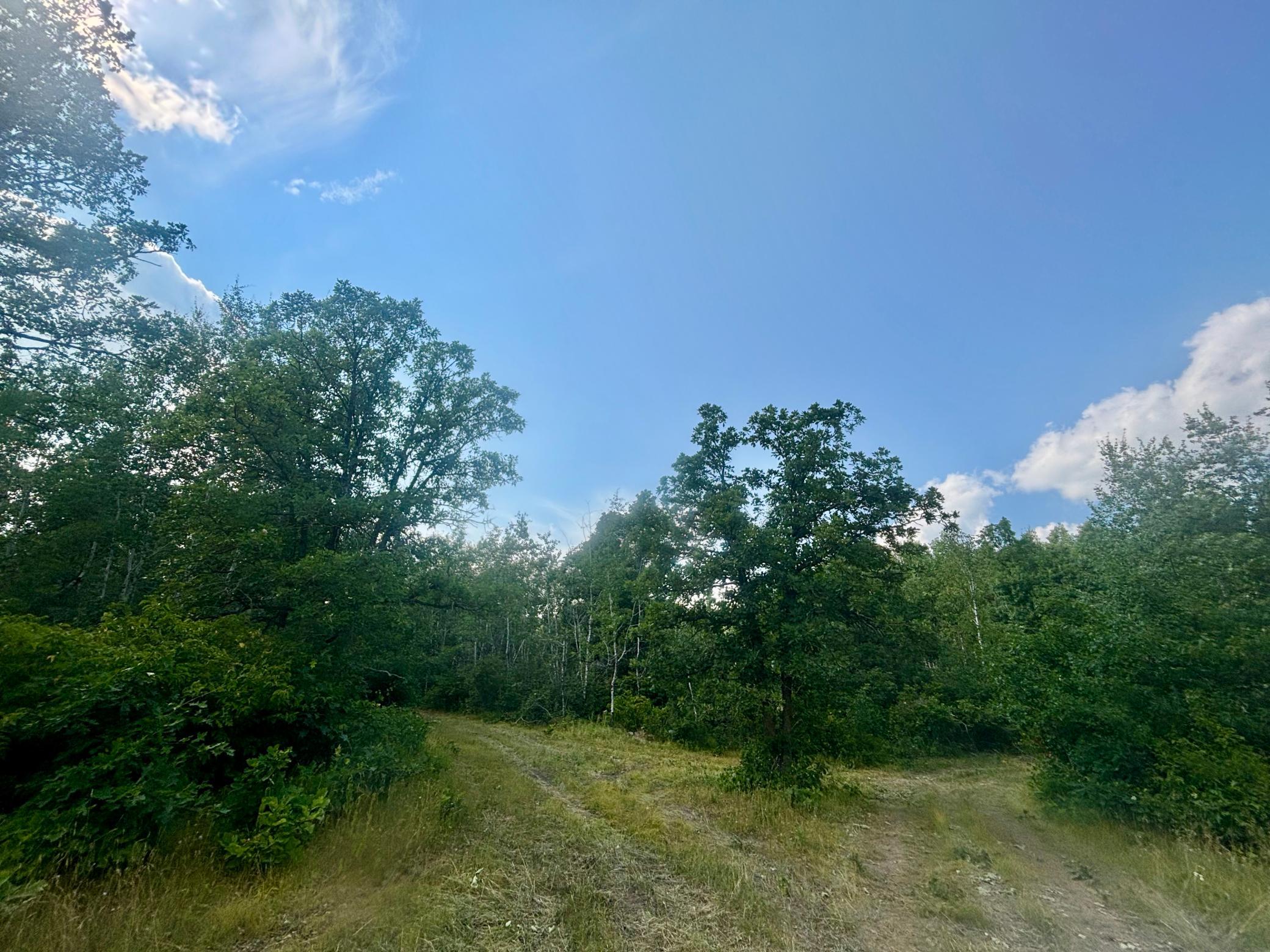 Tbd - 24.4 Ac County 4 Property Photo 22