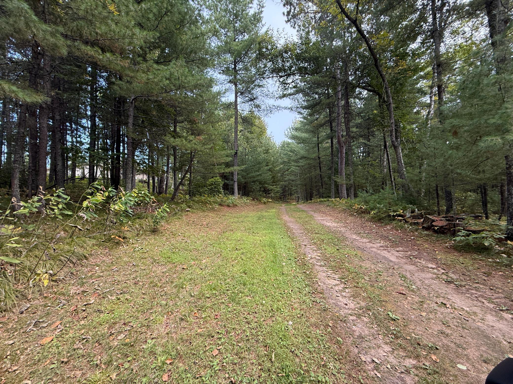 14701 Chokecherry Drive Property Photo 35