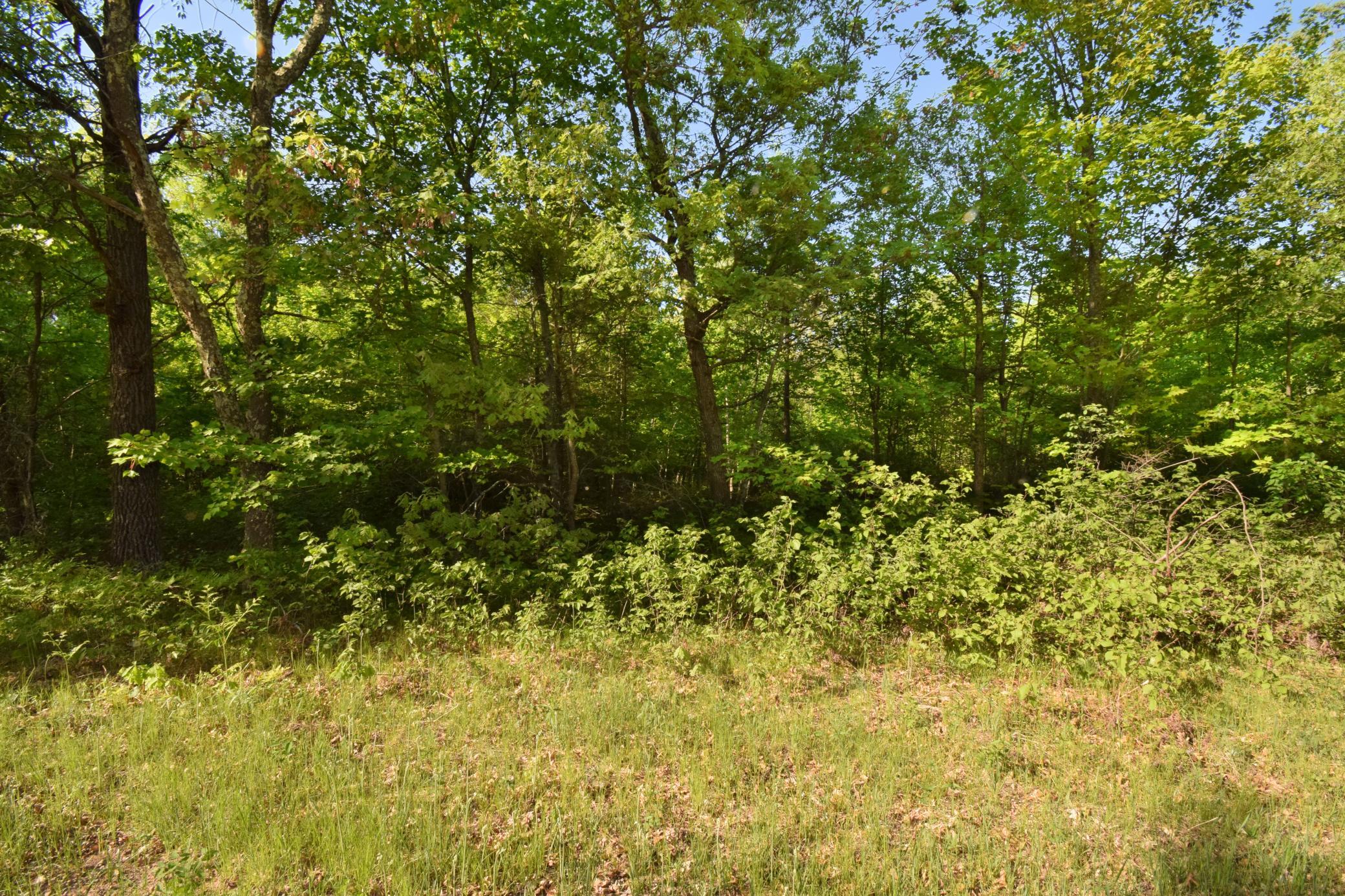 Lot 106 Setting Sun Court Property Photo 13