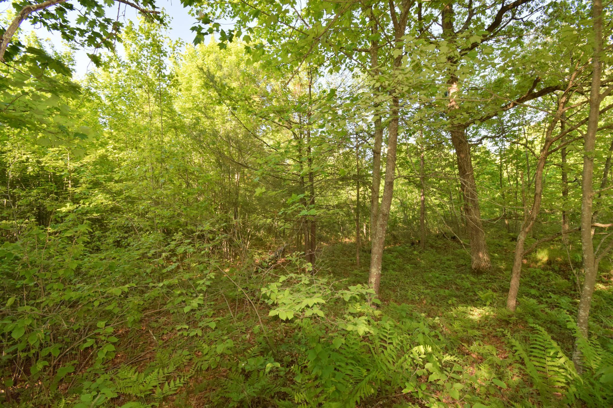 Lot 106 Setting Sun Court Property Photo 15