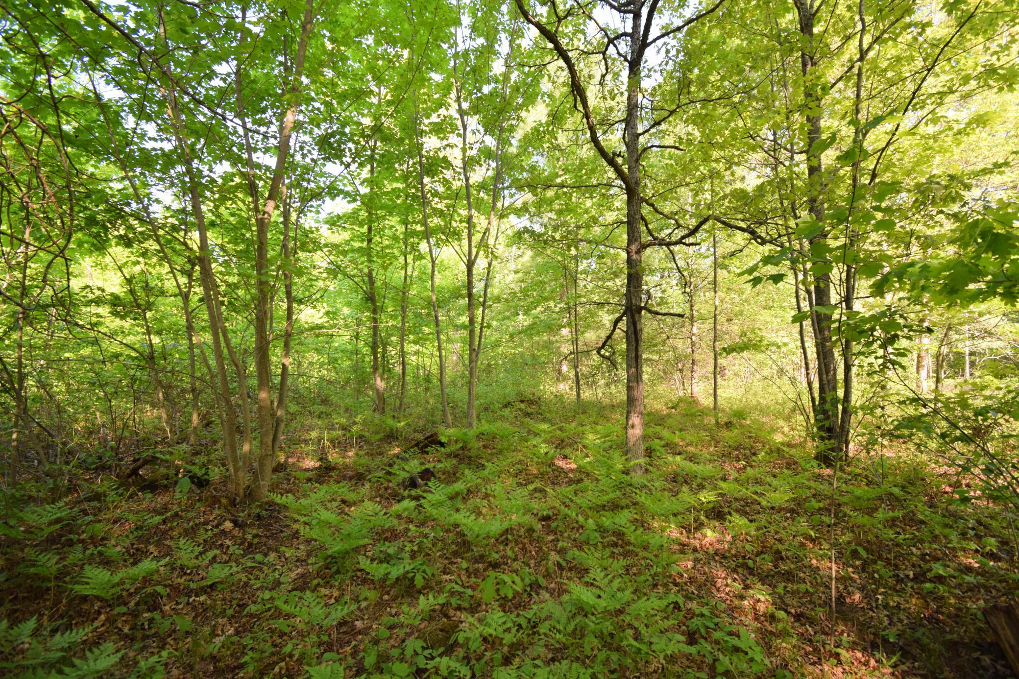 Lot 106 Setting Sun Court Property Photo 16