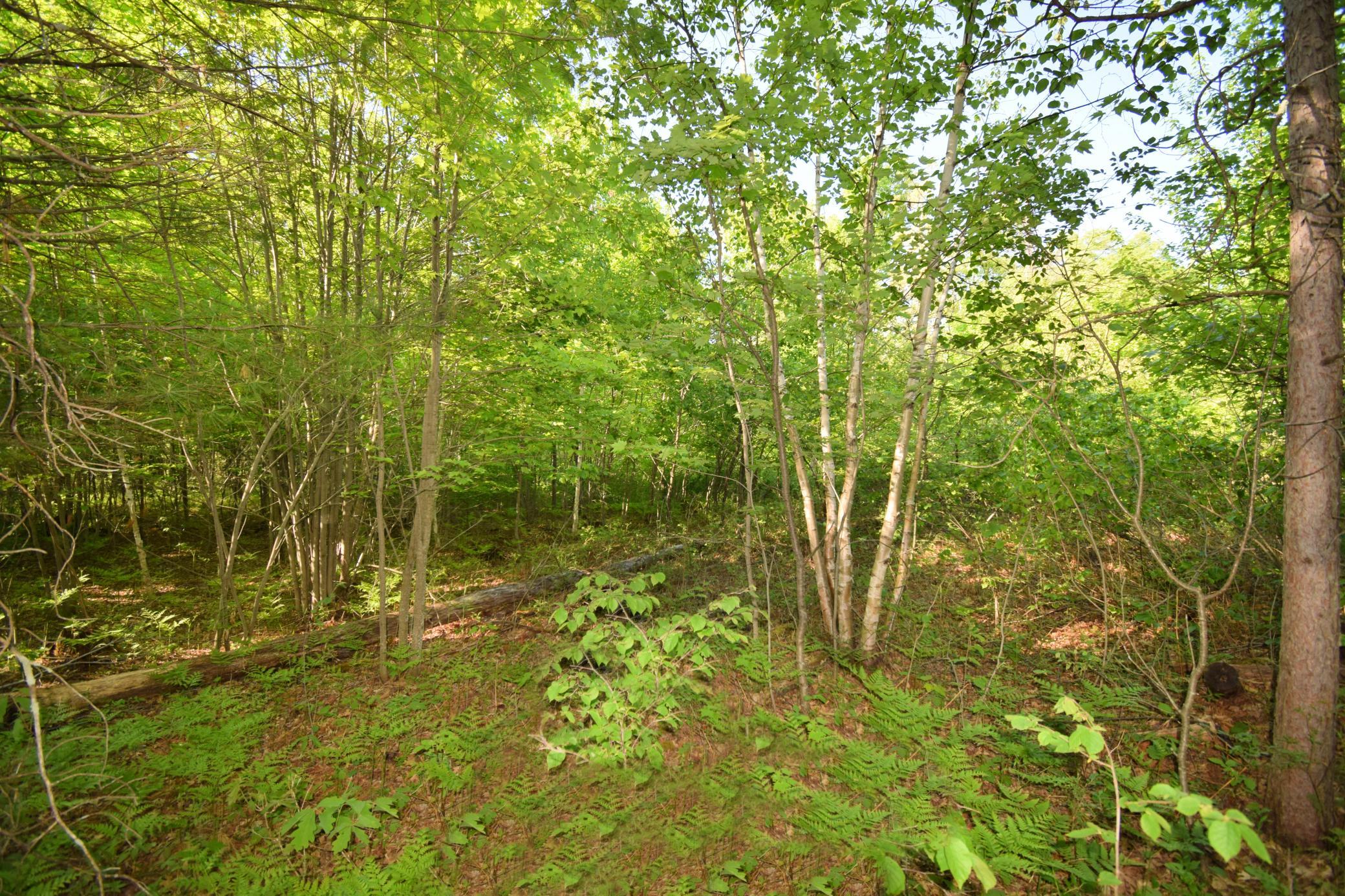 Lot 106 Setting Sun Court Property Photo 17