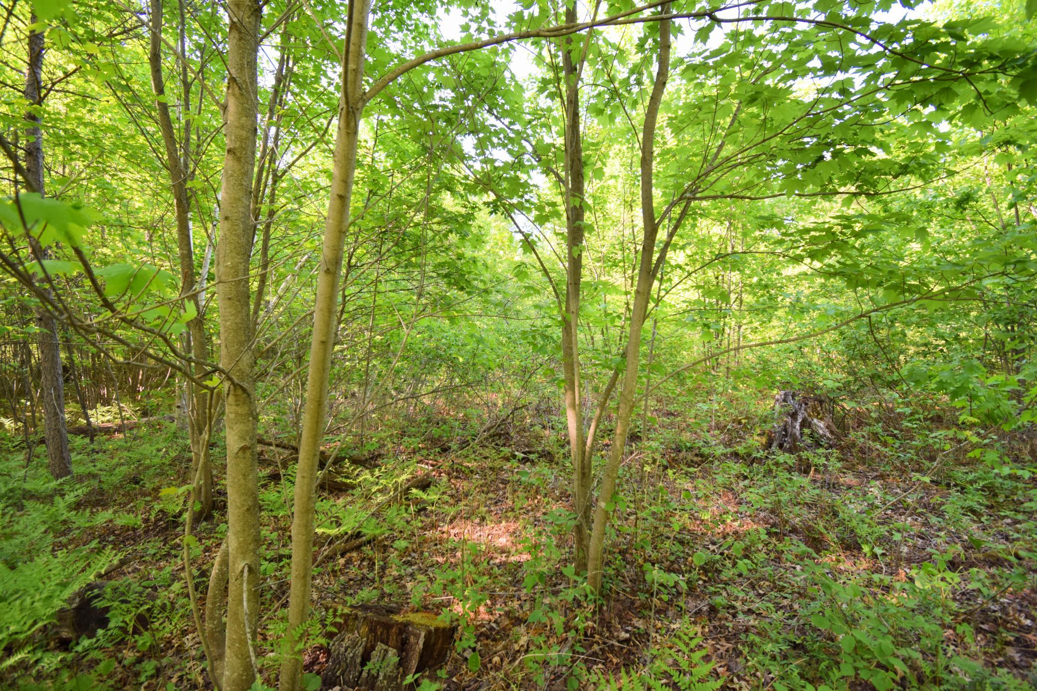 Lot 106 Setting Sun Court Property Photo 18