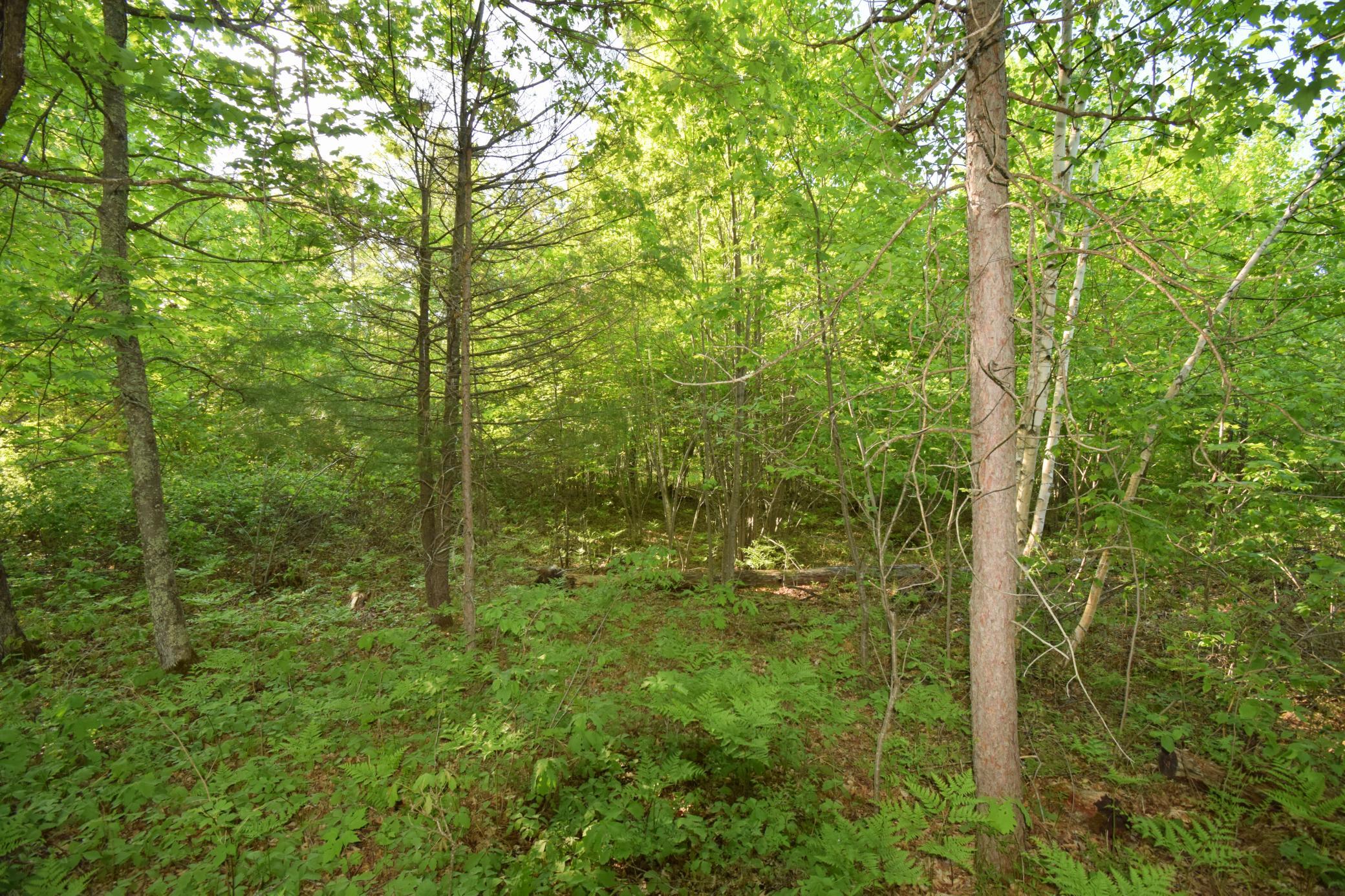 Lot 106 Setting Sun Court Property Photo 19