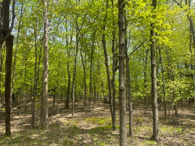 Tbd Maple View Court Property Photo 2