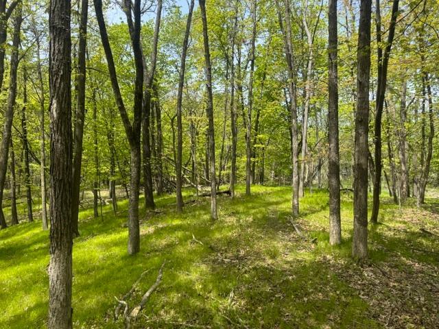 Tbd Maple View Court Property Photo 3