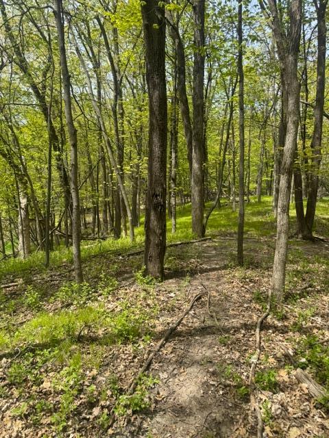 Tbd Maple View Court Property Photo 4