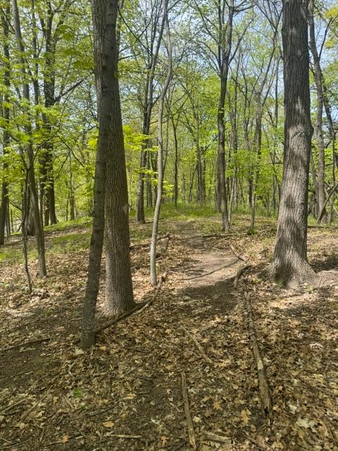 Tbd Maple View Court Property Photo 5